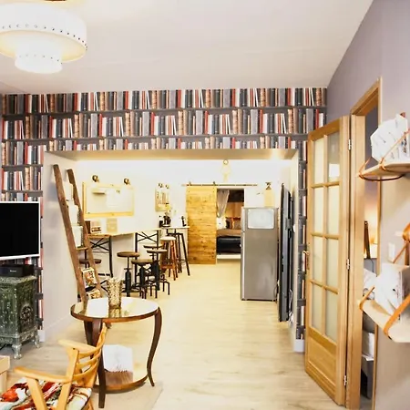 Le Bouquiniste, Centre Historique, Fibre, Ess, Rez-de-chaussee, Bedinshop Romans-sur-Isere